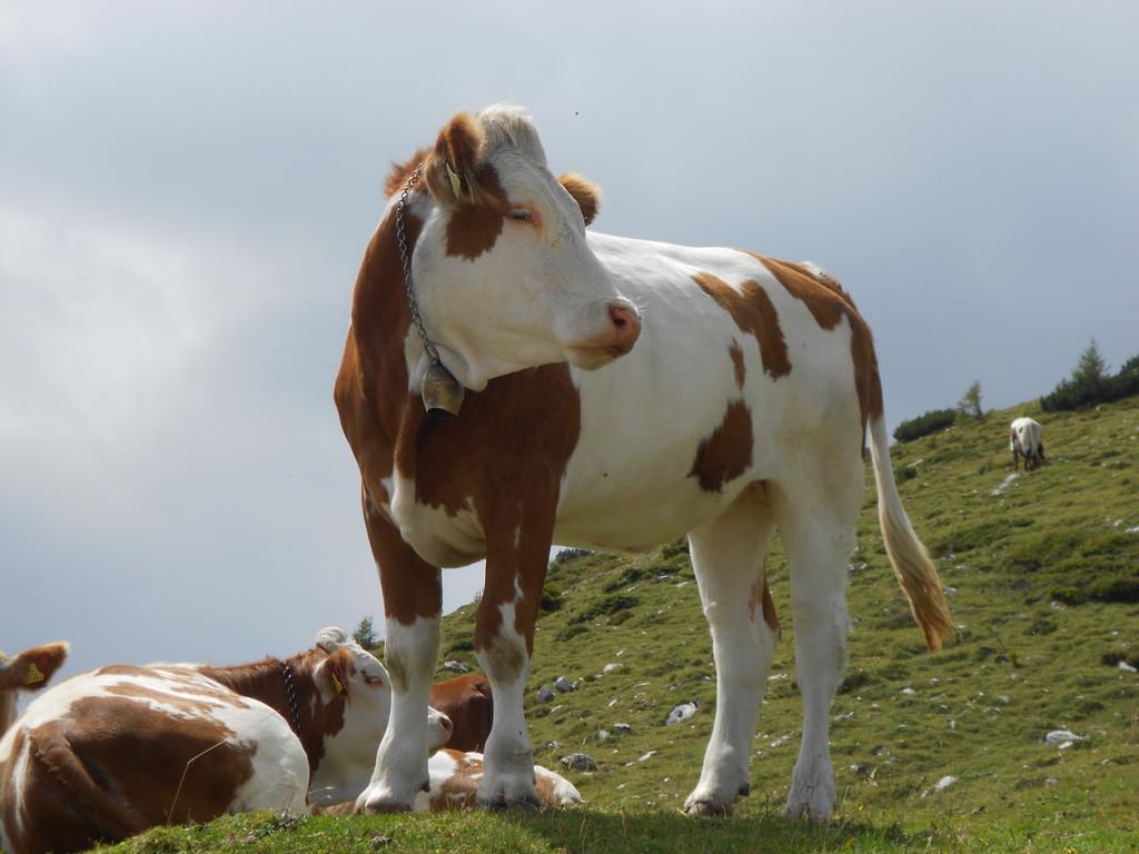 Ferienwohnung Andritsch Sankt Georgen im Gailtal Exterior foto