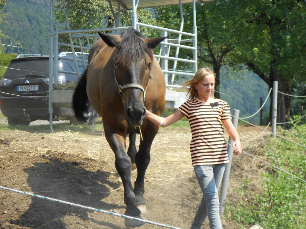 Ferienwohnung Andritsch Sankt Georgen im Gailtal Exterior foto