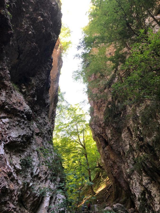 Ferienwohnung Andritsch Sankt Georgen im Gailtal Exterior foto